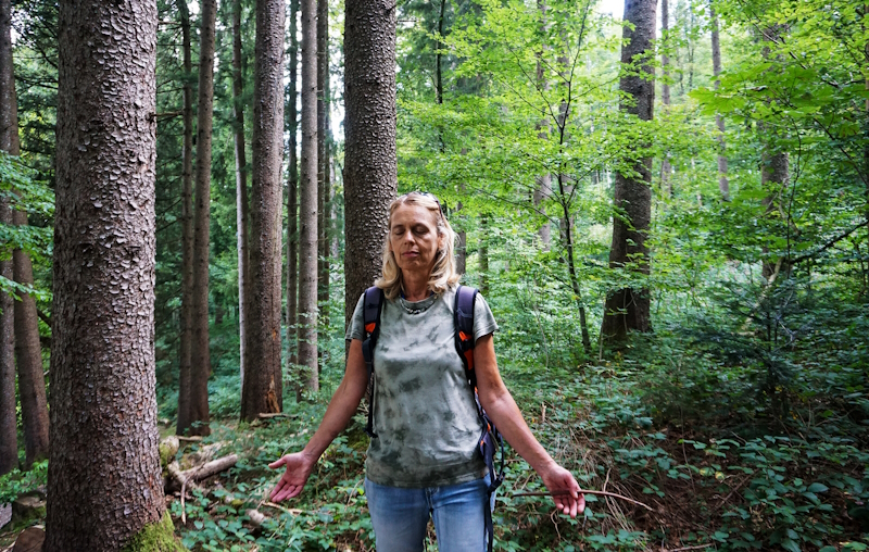 オーバーシュタウフェンの森林浴: 新しい認定ヘルスコーチと一緒にストレスを軽減し、幸せを創造しましょう